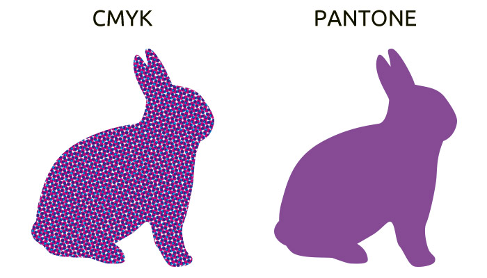 What colors do I choose : CMYK or Pantone?